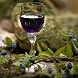 Liquore con bacche di mirto