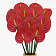 Fiori anthurium
