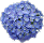 Fiore ortensia