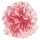 Pianta e fiori peonie