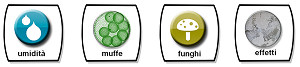 Umido muffe e funghi