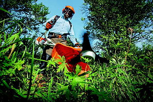 Tagliaerba professionali per giardino