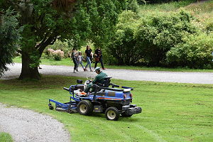 Tagliaerba motorizzato da giardino